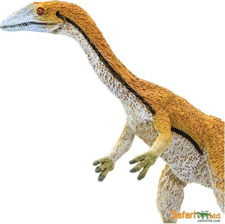 Produktbild Safari Coelophysis