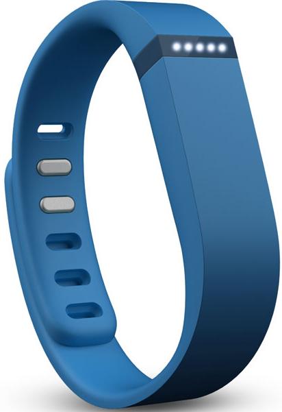 Fitbit Flex