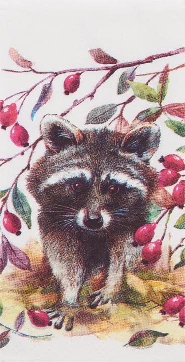 Produktbild IHR Papiertaschentücher "Waschbär"