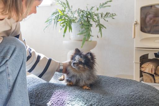 Actual product image Designed by Lotte Ribbed (Dog)