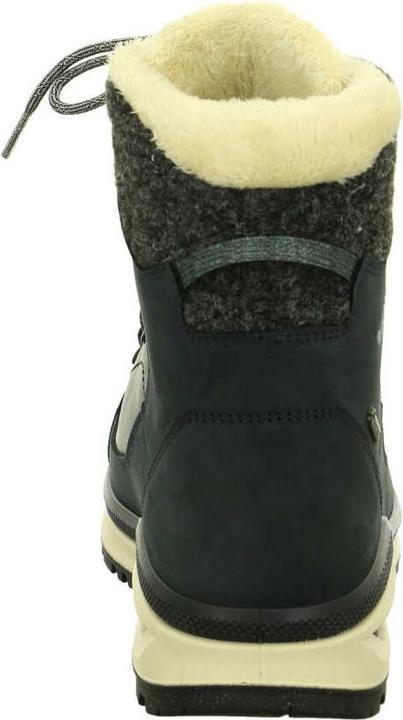 Actual product image Lowa Renegade Evo GTX (43.5)