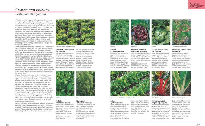 Actual product image Das grosse Gartenbuch (German, Jürgen Becker, 2016)