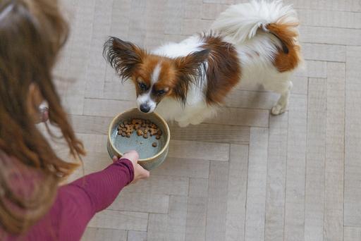 Actual product image Designed by Lotte Jace dog bowl (0.45 l)