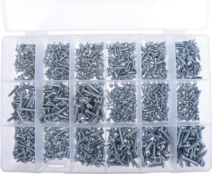 Actual product image Rs Pro Sheet metal screws pan head assortment (1200 Screws per piece)