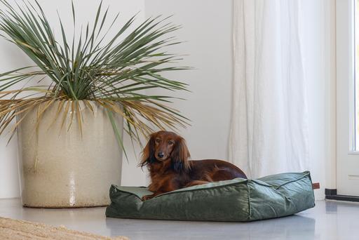 Productafbeelding Designed by Lotte Nalino (Hond)