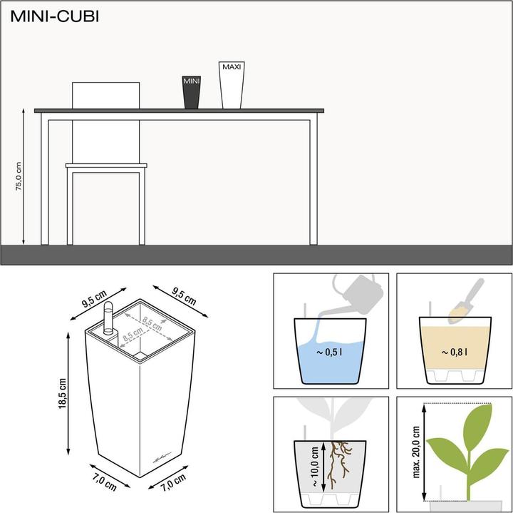 Image du produit Lechuza Mini Cubi (9.50 cm)