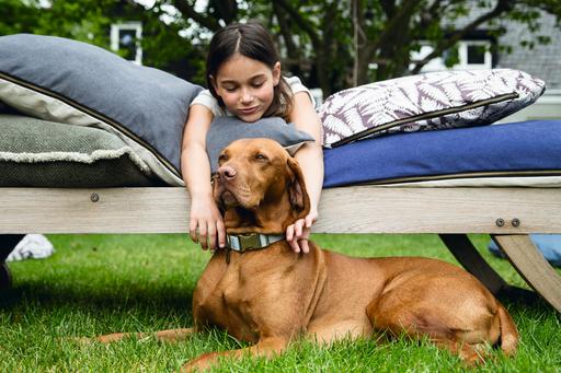 Actual product image Designed by Lotte Virante (M, L, Dog, Walks)