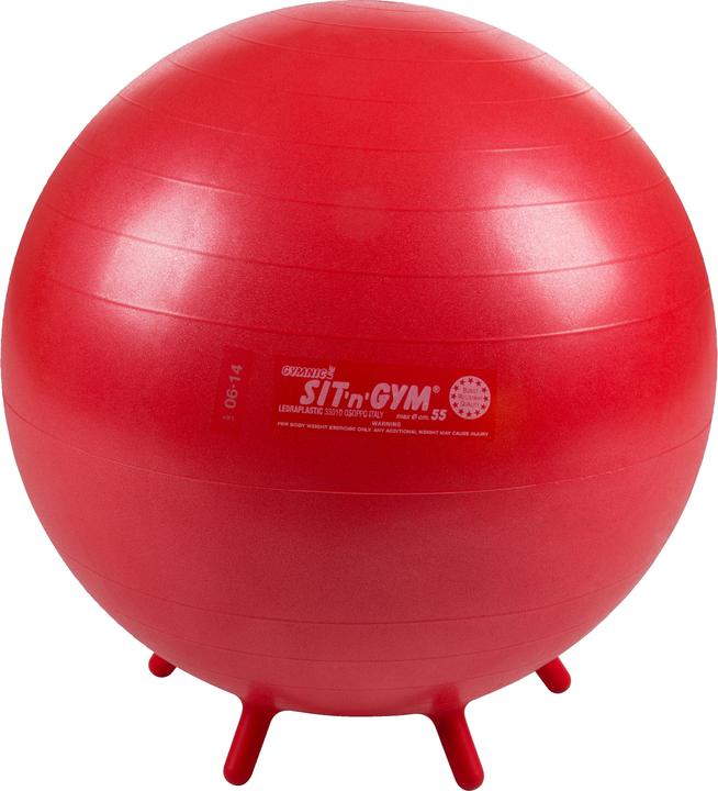 Produktbild Ledraplastic Fitnessball Sit 'n' Gym (55 cm)