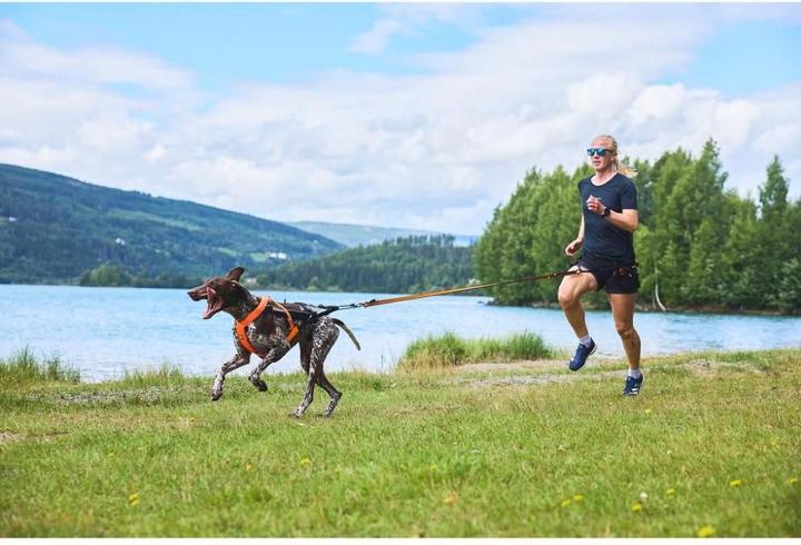 Produktbild Non-Stop Dogwear CaniX Belt 2.0 (M, Hund, Hundesport)