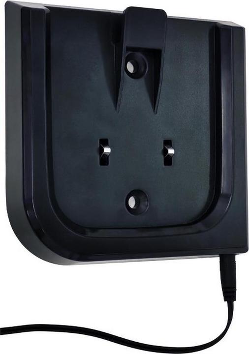 Actual product image Rotel Lithium