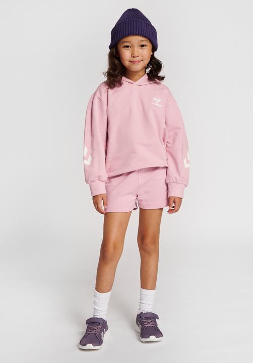Immagine prodotto hummel hmlDUE HOODIE (104)