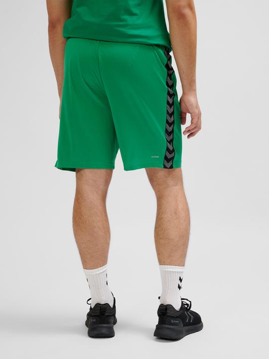 Image du produit hummel Hmlauthentic Pl Shorts (S)