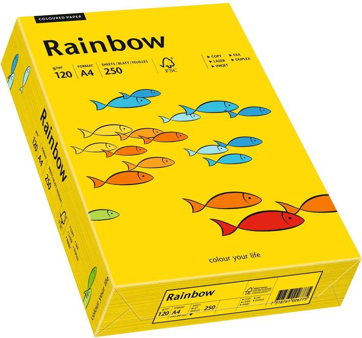 Produktbild Mondi Farbiges Kopierpapier Rainbow (120 g/m², 250 x, A4)
