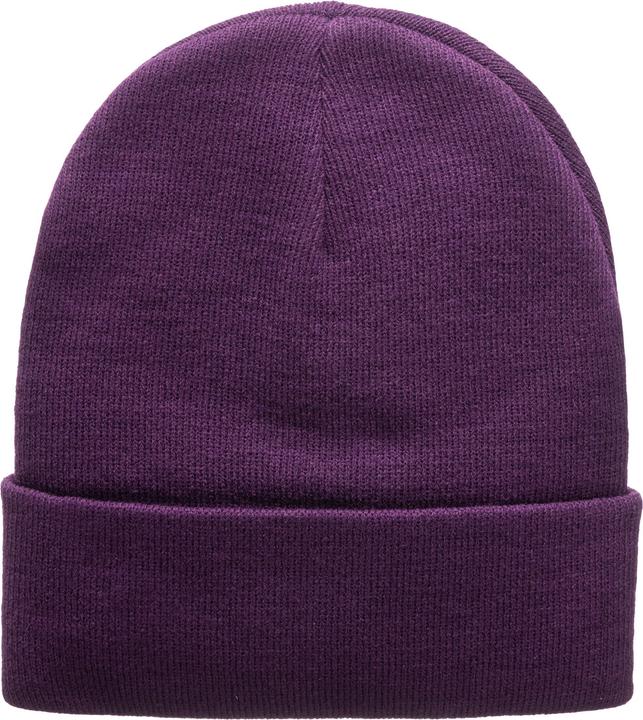 Actual product image Santa Cruz Classic Label Beanie - 125439