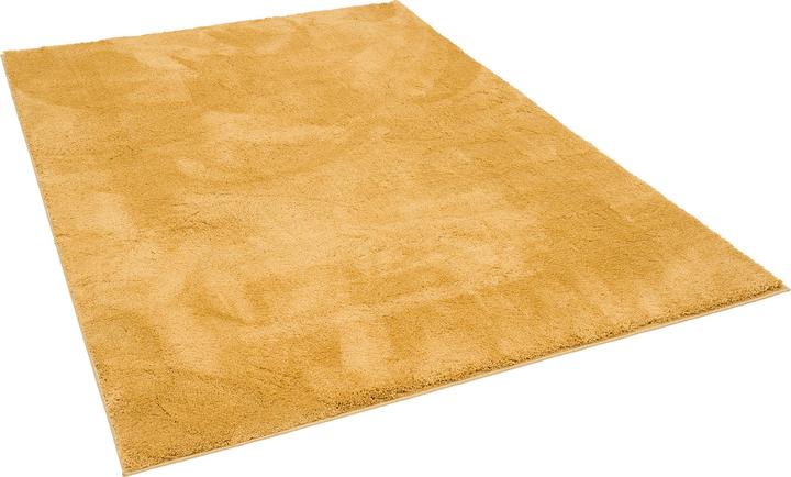 Produktbild Pergamon Super Soft Kinder Hochflor Teppich Silky Kids (200 x 290 cm)
