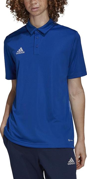 Actual product image adidas Entrada 22 polo shirt men (XXL)