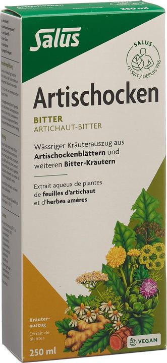 Produktbild Salus Artischocken-Bitter (1 Stück, Flüssigkeit, 606 g)