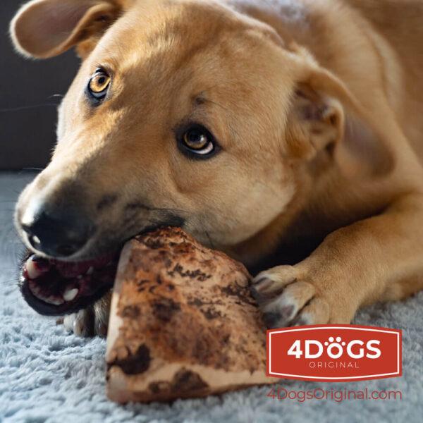 Produktbild 4Dogs Original Korzen xl (Kauspielzeug Hund)