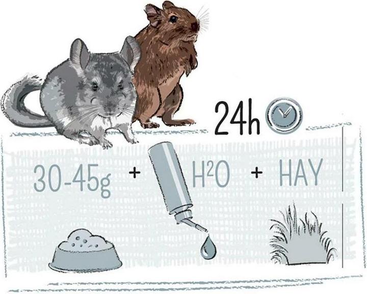 Image du produit Witte Molen Aliment de base Puur Gourmet Muesli pour Chinchilla & Degu (0.50 kg, 1 x)