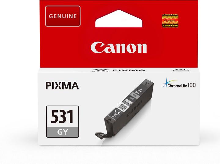Actual product image Canon CLI-531 (GY) (GY)