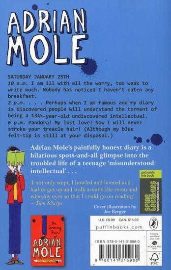 Produktbild The Secret Diary of Adrian Mole Aged 13 3/4 (Englisch, Sue Townsend, 2002)