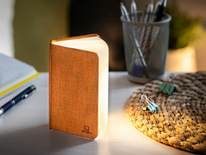 Actual product image Gingko Mini Smart Book Light
