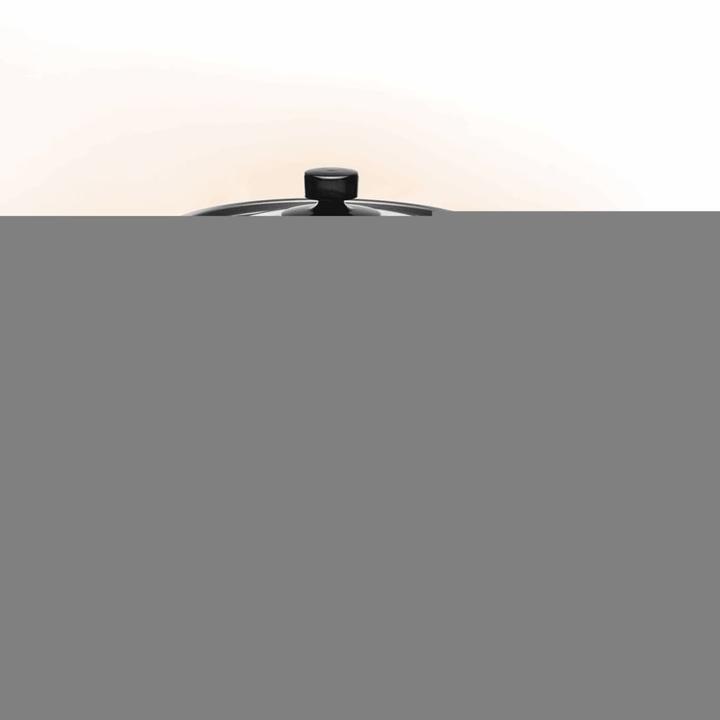 Actual product image Princess Rice cooker 01.271950.01.001 Ed (EU plug)