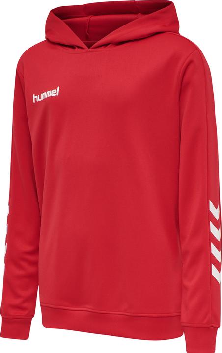 Actual product image hummel Promo Kids Poly Hoodie (164)