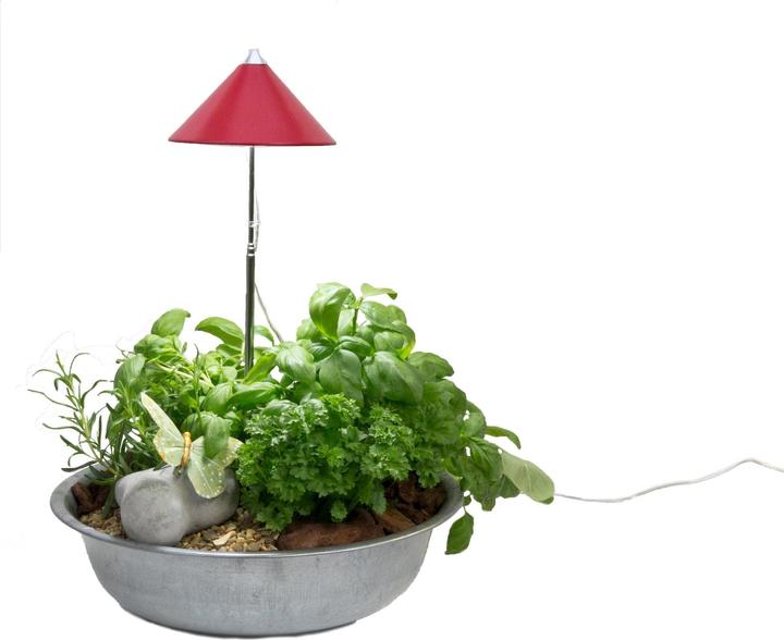 Produktbild Colibri Sunlite (LED, 230 V)