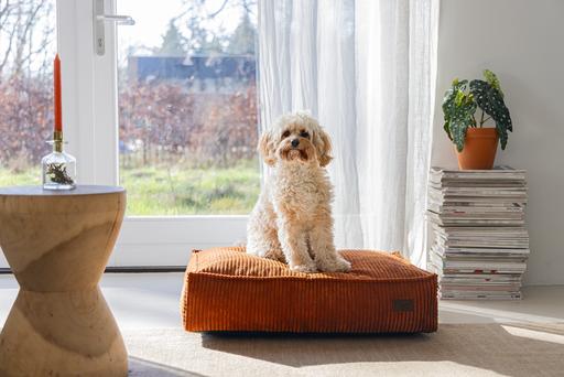 Produktbild Designed by Lotte Ribbed (Hund)