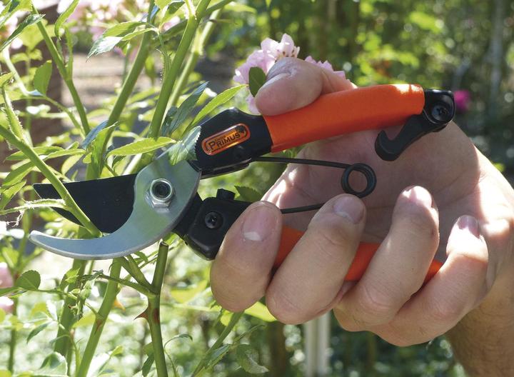 Actual product image Garten Primus Queen of the Roses" Lady's Garden Scissors