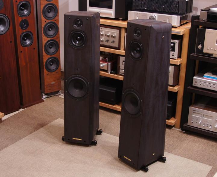 Actual product image Sonus faber Toy Tower Barred Leather - 1 pair