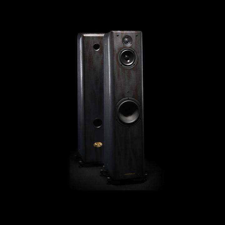 Actual product image Sonus faber Toy Tower Barred Leather - 1 pair
