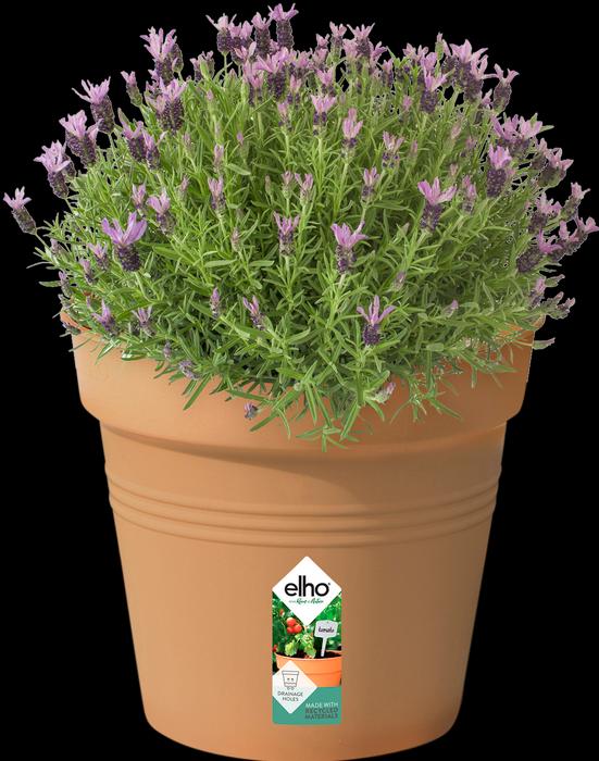 Actual product image Elho Green Basic (35 cm)