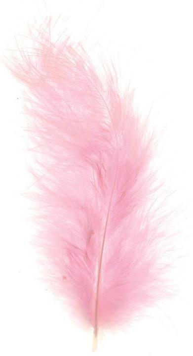 Immagine prodotto Glorex Piume di marabù