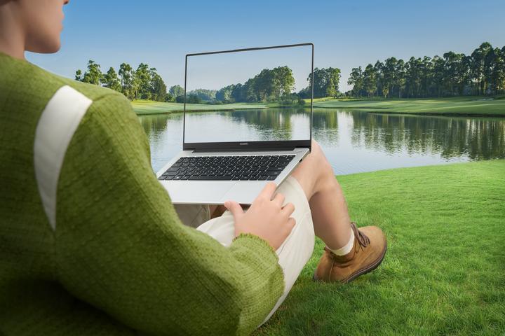 Image du produit Huawei D14 2024 (14", Intel Core i5-12450H, 8 Go, 512 Go, DE)
