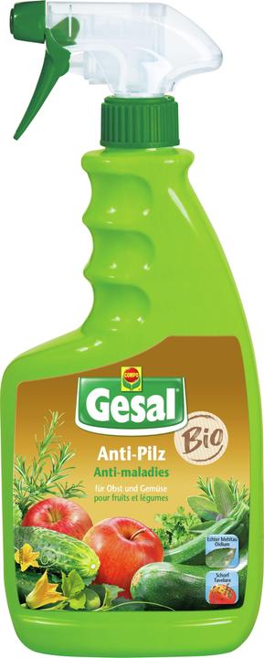 Immagine prodotto Gesal Fungicida per frutti e ortaggi (Funghi)