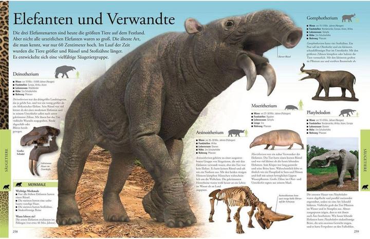 Actual product image Dinosaurier und andere Tiere der Urzeit für clevere Kids (German, DK Verlag - Kids, 2019)