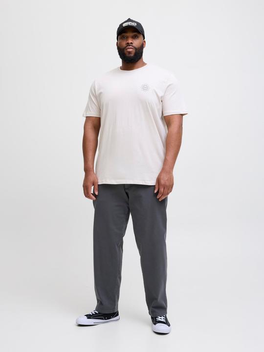 Produktbild Jack & Jones Jpstkane Fctry Fabric2 L2 Chino Pant Pls (W46/L34)