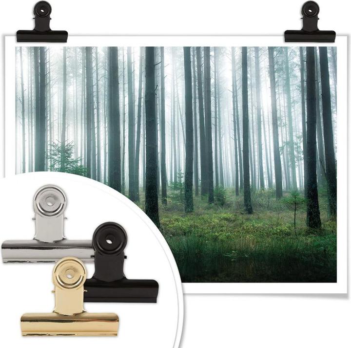 Actual product image Trenddeko In the forest (100 x 80 cm)