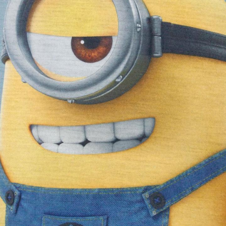 Immagine prodotto Despicable Me Easy Going Maglietta Minions Ragazzi (116)