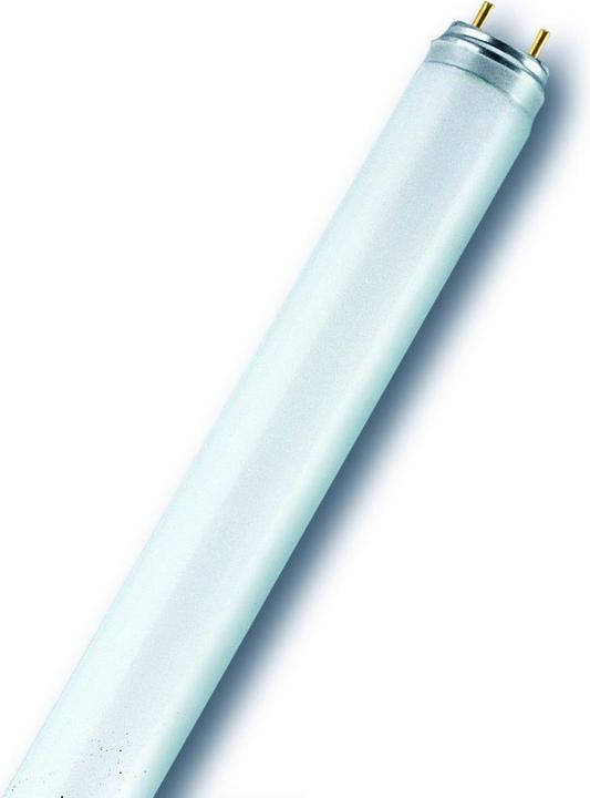 Image du produit Osram Lampe fluorescente Tubular blanc chaud (G13, 18 W, 1350 lm, 25 x, A)