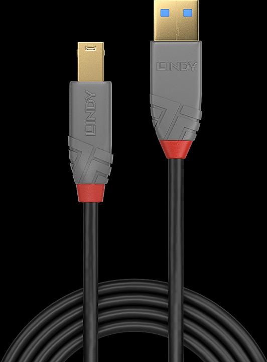 Immagine prodotto Lindy USB/A-USB/B M-M (0.50 m, USB 3.0)