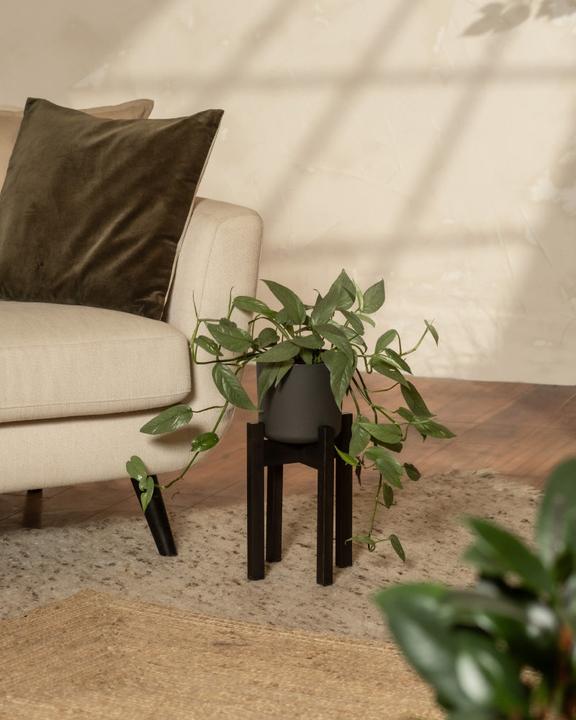 Image du produit feey Support pour plantes (Stelion | 16 cm Ø)