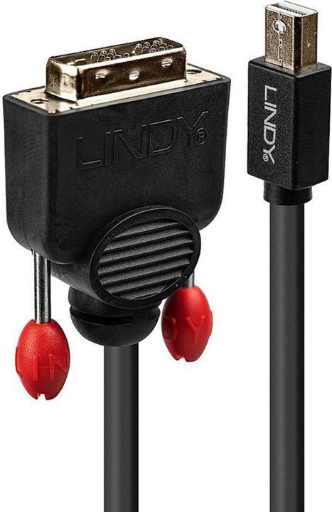 Actual product image Lindy Mini DisplayPort — DVI (2 m, DVI, DisplayPort)