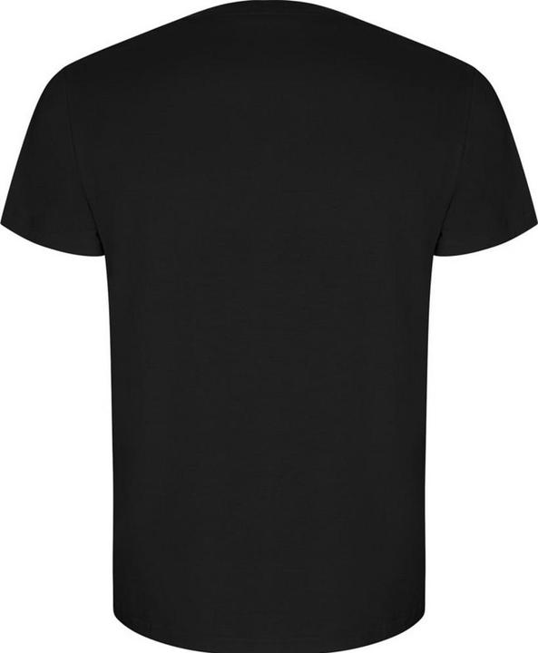 Immagine prodotto Alpinia Golden Maglietta Semplice Maniche Corte Uomo (XL)