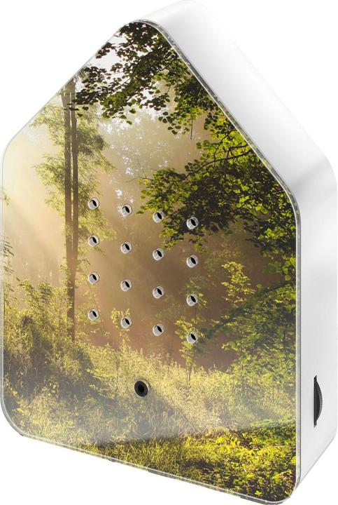 Immagine prodotto Relaxound Zwitscherbox (11 x 3 x 14,5 cm)