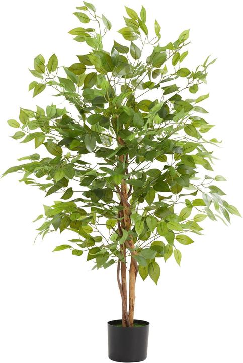 tectake Albero di ficus Fida (120 cm)
