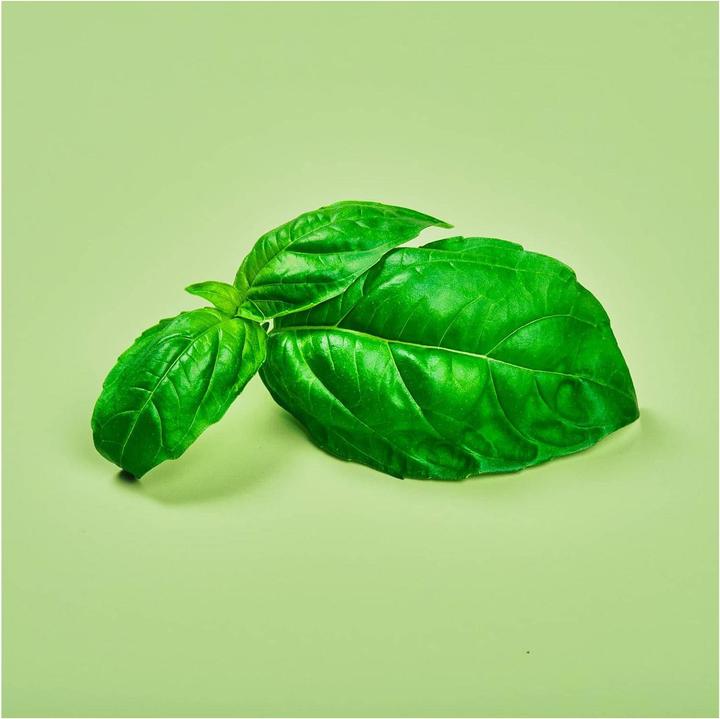 Immagine prodotto Plantui Basilico (Semi di erbe)