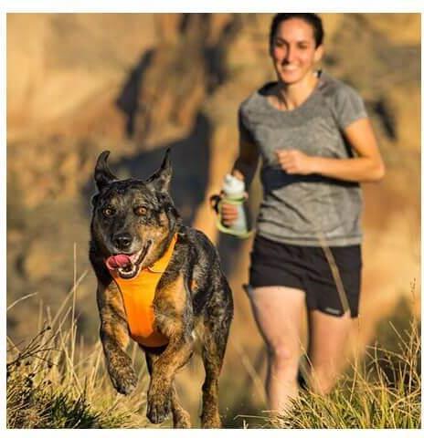 Produktbild Ruffwear Hundegeschirr Front Range Harness (M, Hund)